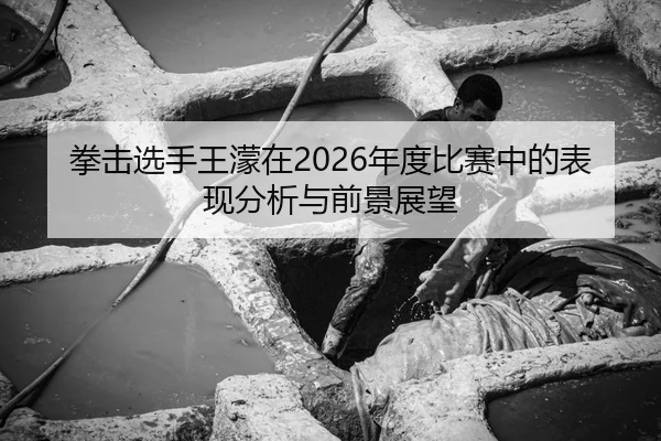 拳击选手王濛在2026年度比赛中的表现分析与前景展望