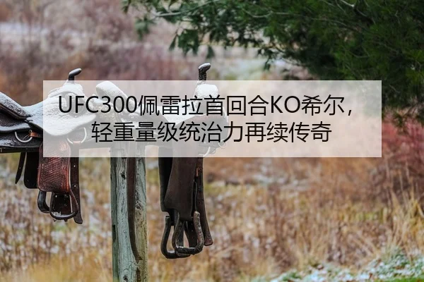 UFC300佩雷拉首回合KO希尔，轻重量级统治力再续传奇